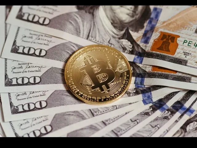 An independent look at Yielbo AI for Pakistani traders
